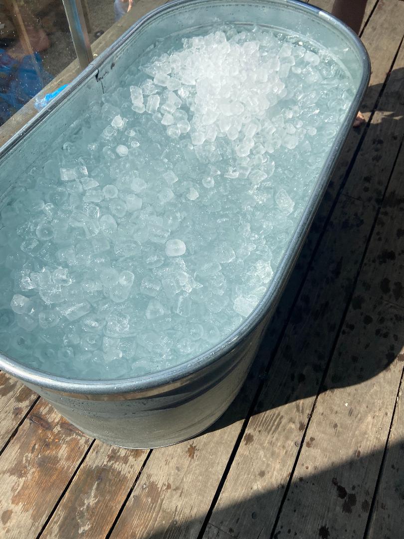 Cold water therapy - part two - The Phoenix Method